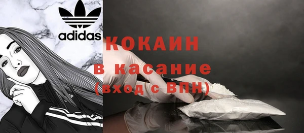 индика Лиски