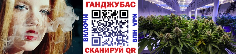Бошки Шишки планчик  Лебедянь 